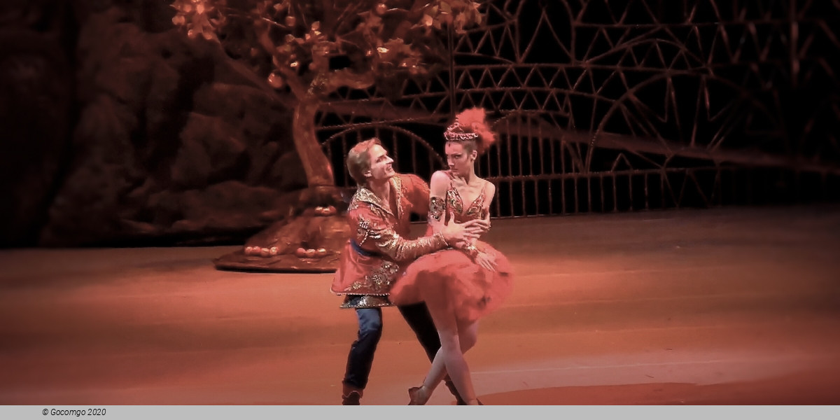 Petrouchka The Firebird, photo 4