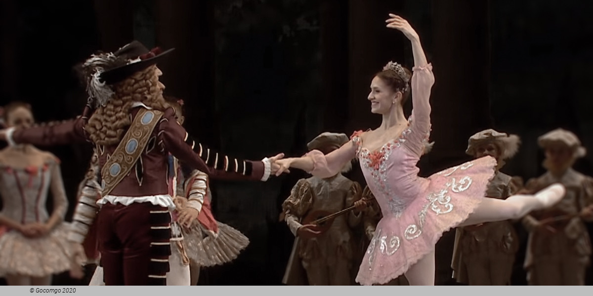 The Sleeping Beauty, photo 4