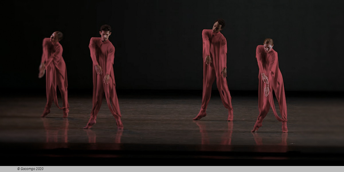 Scene 5 from the modern ballet "Gustave le Gray", photo 6