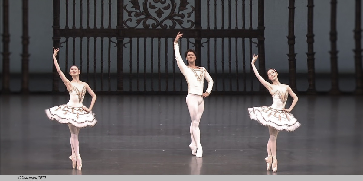 National Ballet of Japan, photo 1