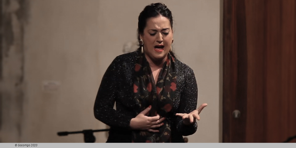 Los Tarantos Flamenco show, photo 1, photo 1