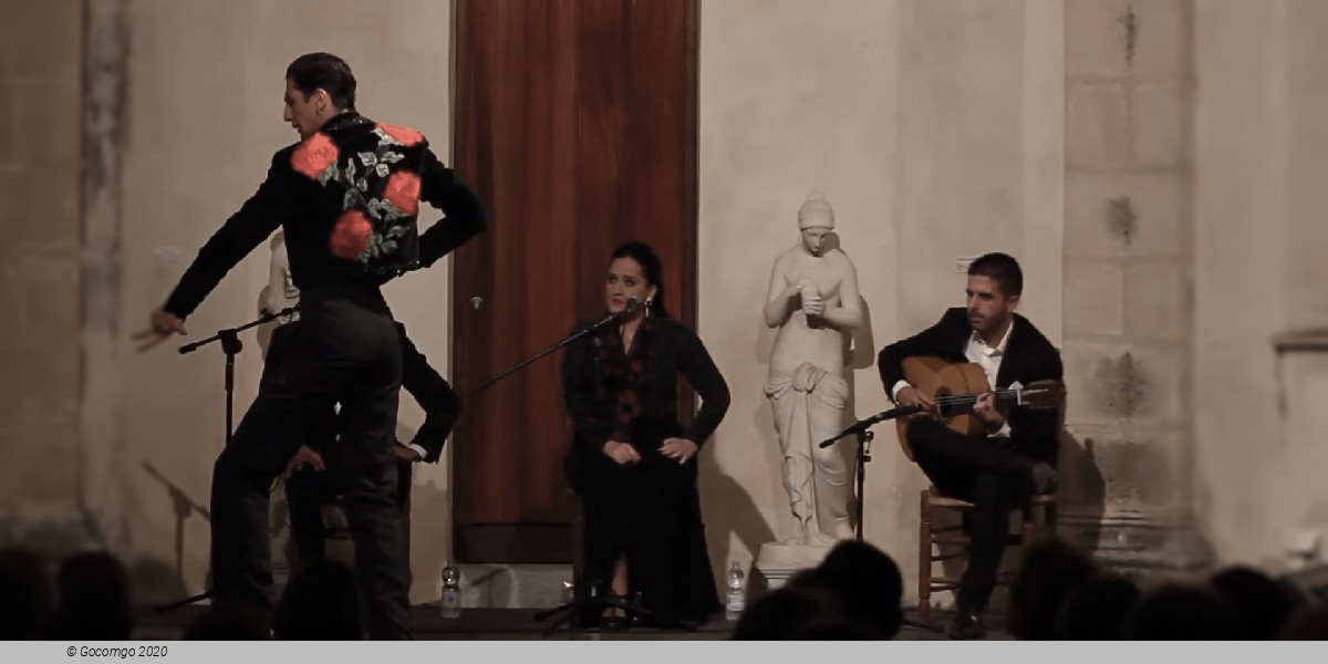 Los Tarantos Flamenco show, photo 2, photo 2