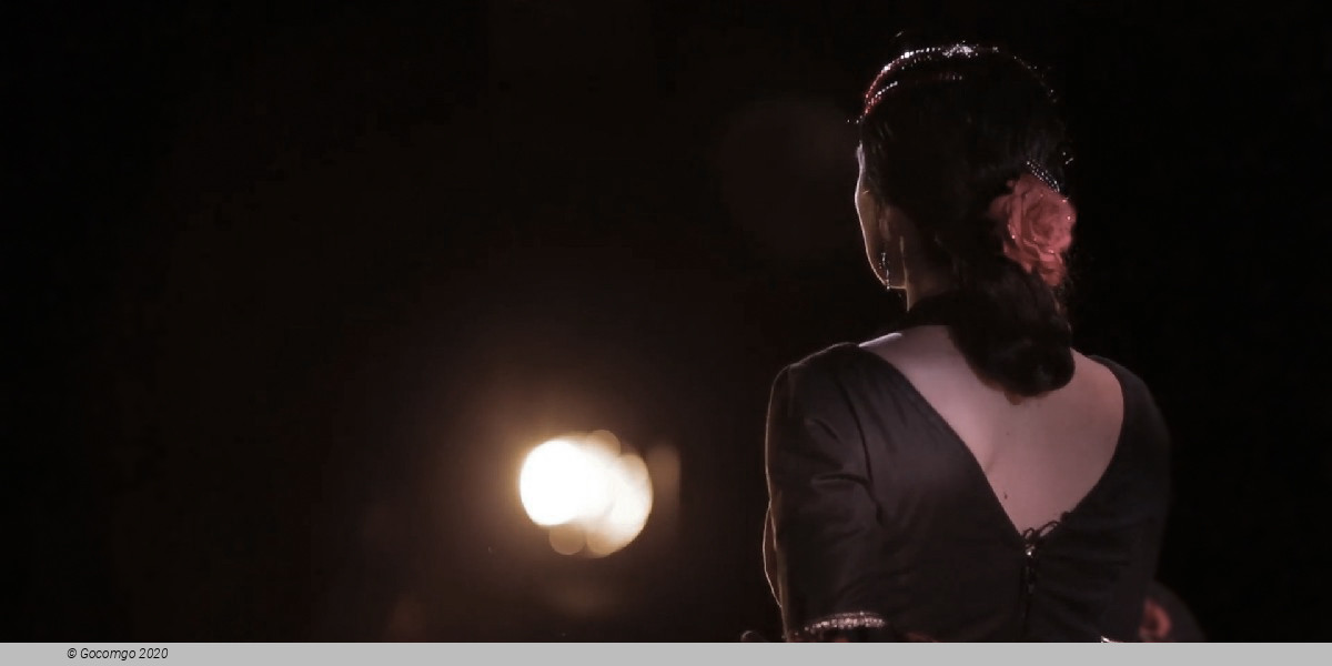 Los Tarantos Flamenco show, photo 4, photo 4