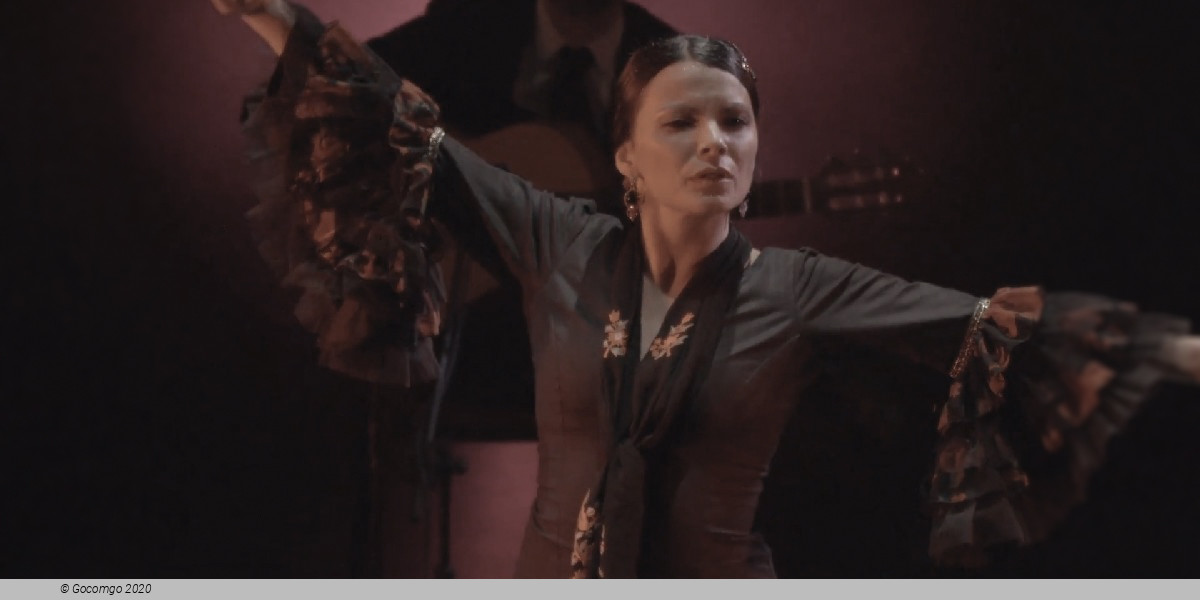 Los Tarantos Flamenco show, photo 6, photo 6