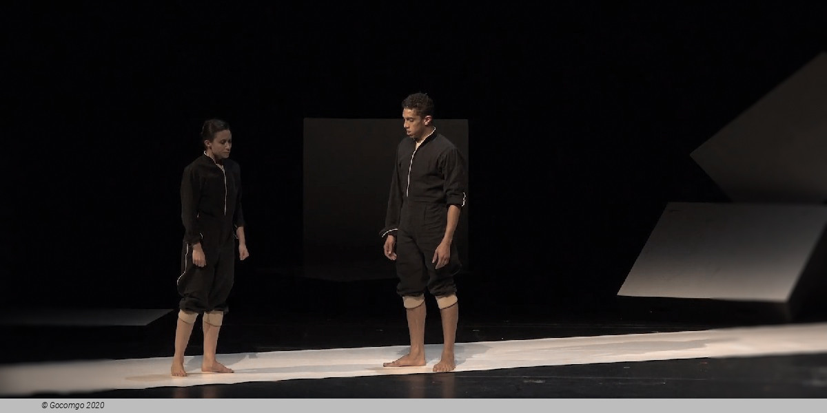 Scene 4 from the modern ballet "Cacti", photo 4