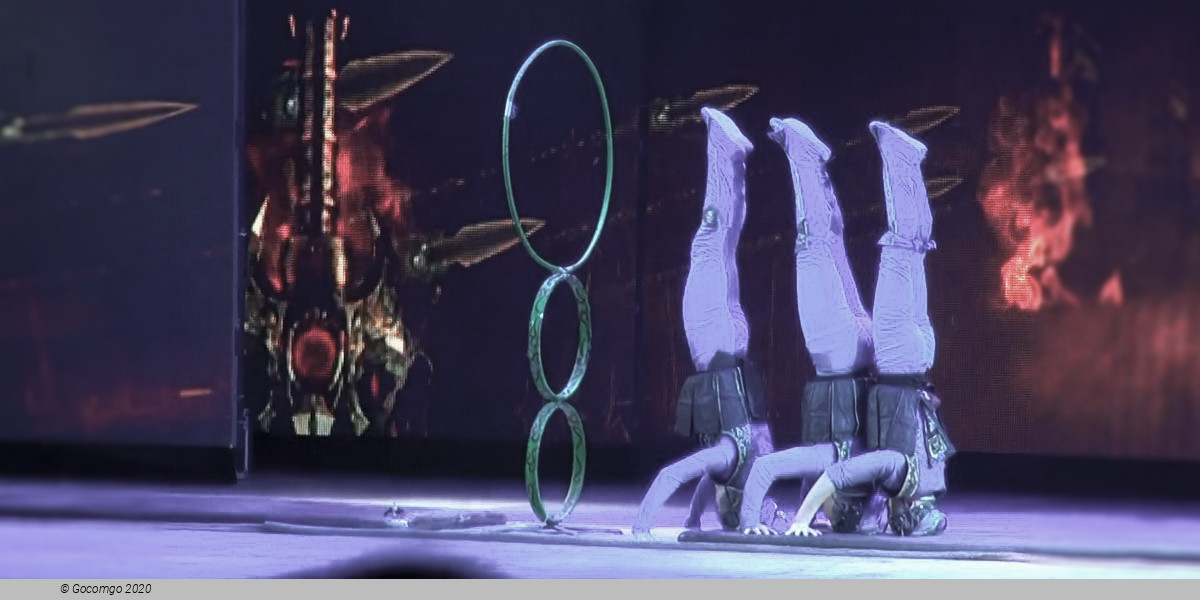 Scene 7 from the Flying Acrobatics Show, photo 7