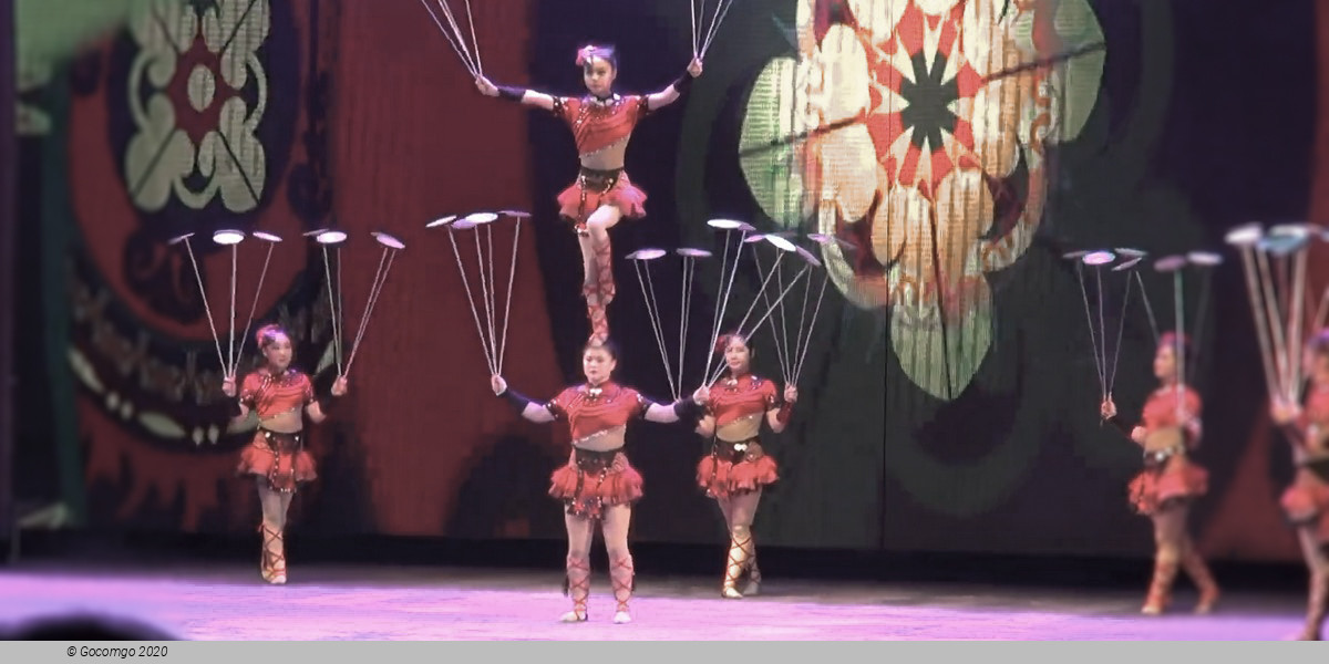 Scene 9 from the Flying Acrobatics Show, photo 9