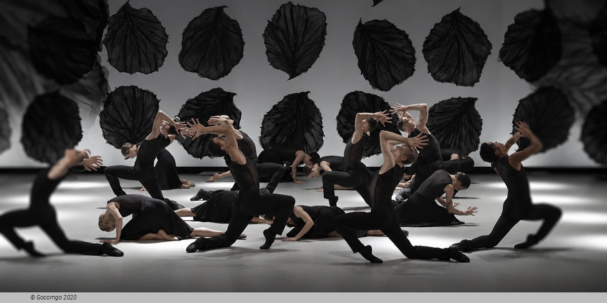 Malandain Ballet Biarritz: Les Saisons
