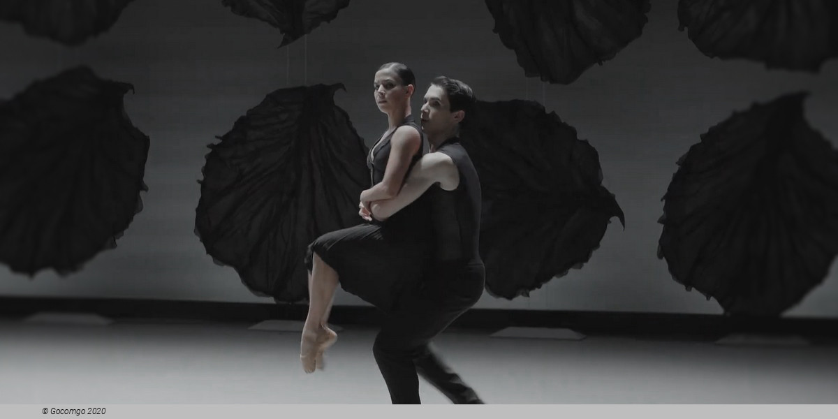 Malandain Ballet Biarritz: Les Saisons