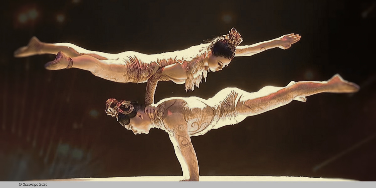 Guangzhou Arts Season 2023: Acrobatic Drama "Swan", photo 3