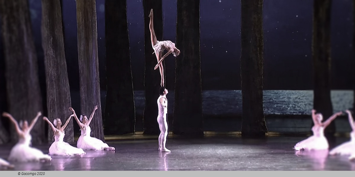 Guangzhou Arts Season 2023: Acrobatic Drama "Swan", photo 7