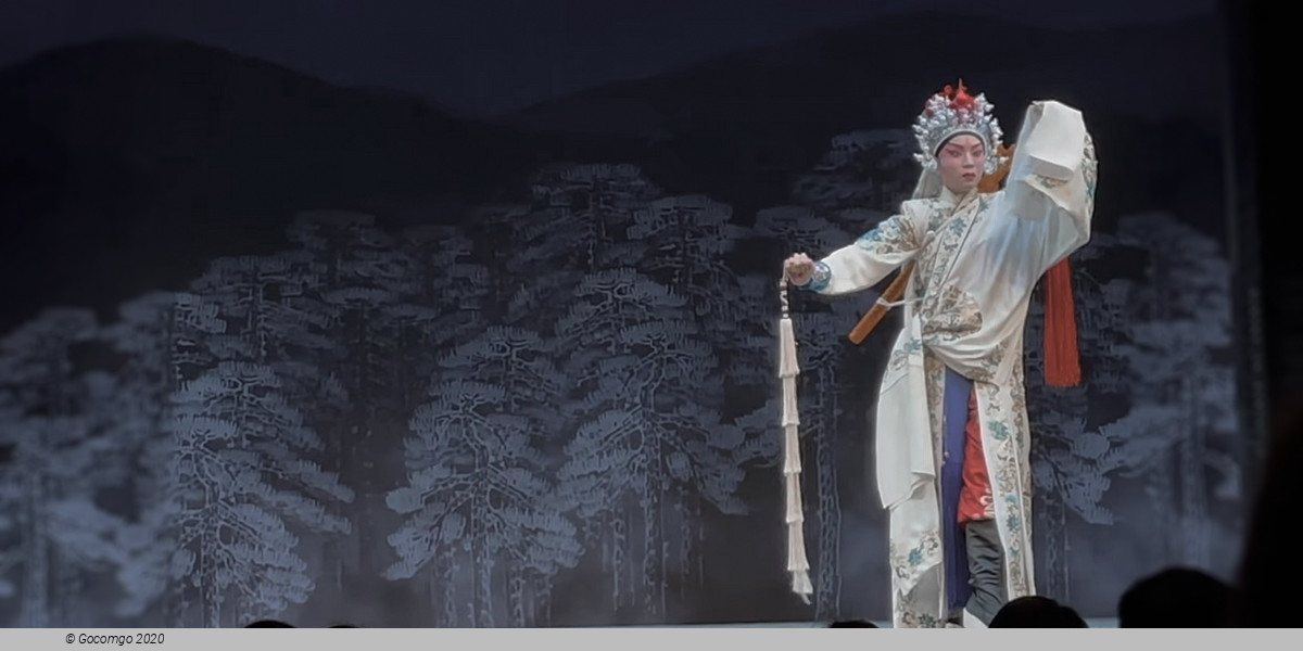 Tea House Theater Experience - Chinese Opera with Aromatic Tea and Dim Sum