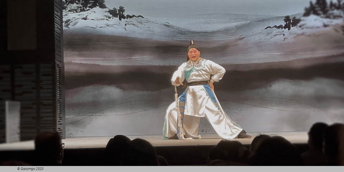 Tea House Theater Experience - Chinese Opera with Aromatic Tea and Dim Sum