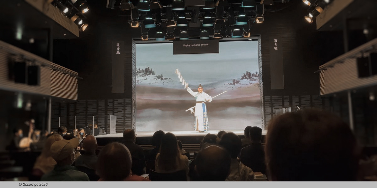 Tea House Theater Experience - Chinese Opera with Aromatic Tea and Dim Sum