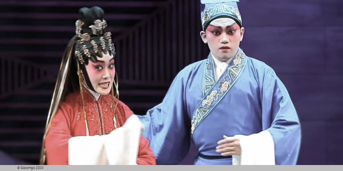 Tea House Theater Experience - Chinese Opera with Aromatic Tea and Dim Sum