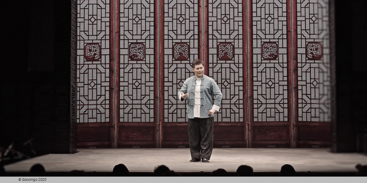 Tea House Theater Experience - Chinese Opera with Aromatic Tea and Dim Sum