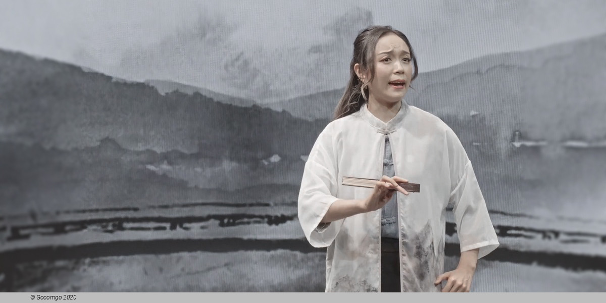 Tea House Theater Experience - Chinese Opera with Aromatic Tea and Dim Sum