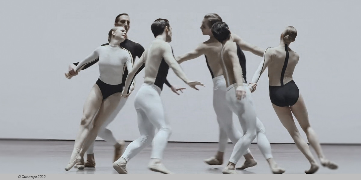 An evening of modern ballet "Contrasts": O złożony / O composite. If you couldn’t see me. Anima Animus. Drift Wood, photo 3