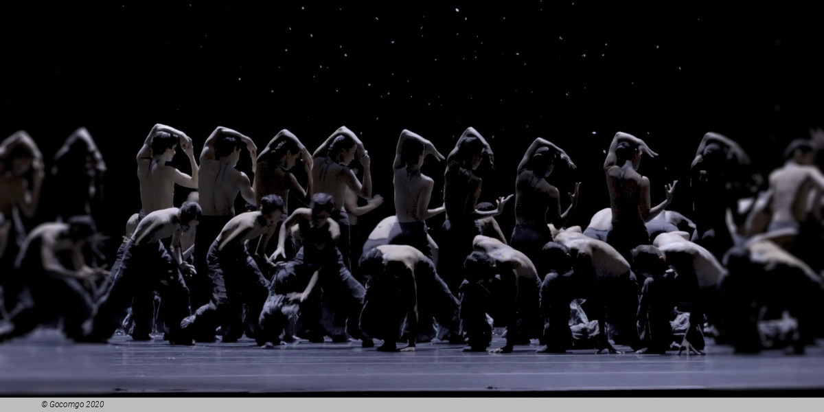 An evening of modern ballet "Vibrations": Dreams This Way. Solo for Two. The Seasons’ Canon, photo 3