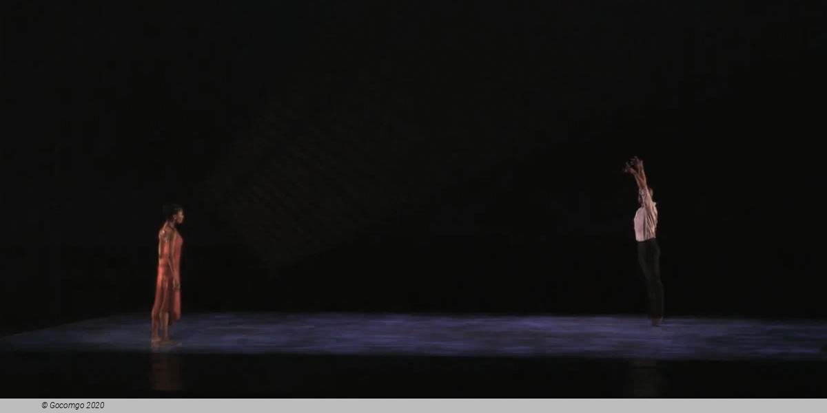 A Case of You, photo 7