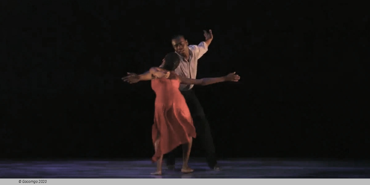 A Case of You, photo 8