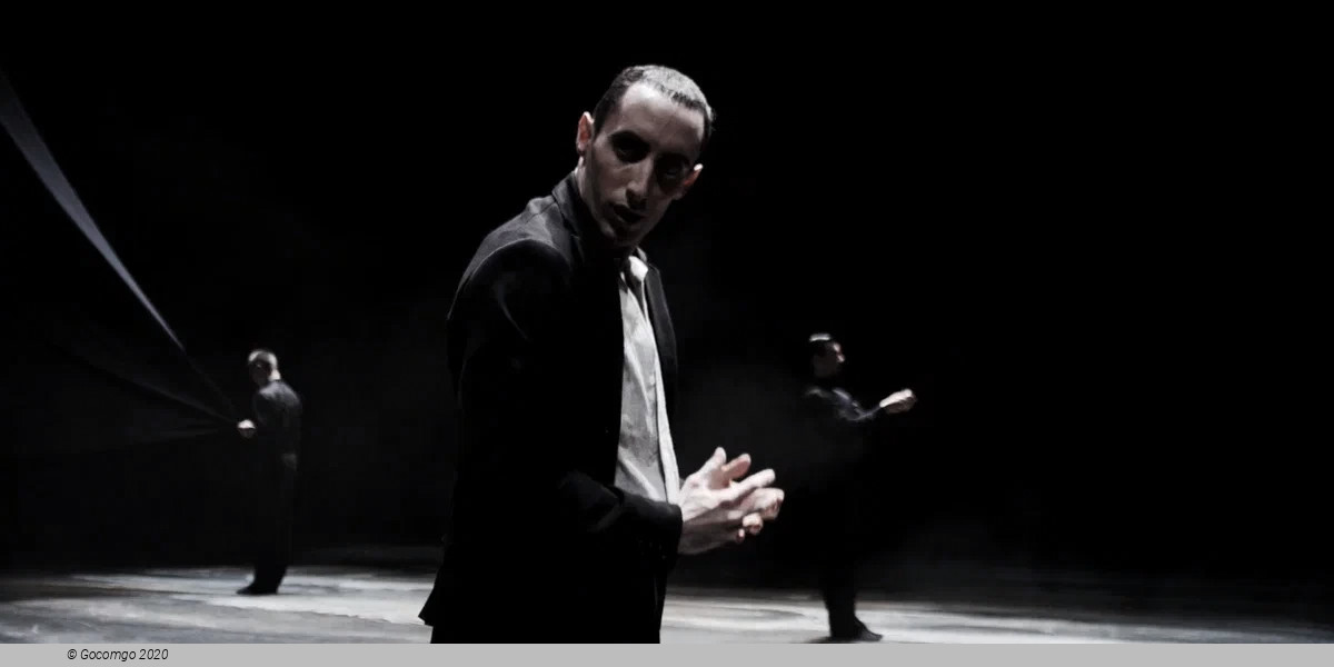 Der Liebhaber by Marco Goecke, photo 5