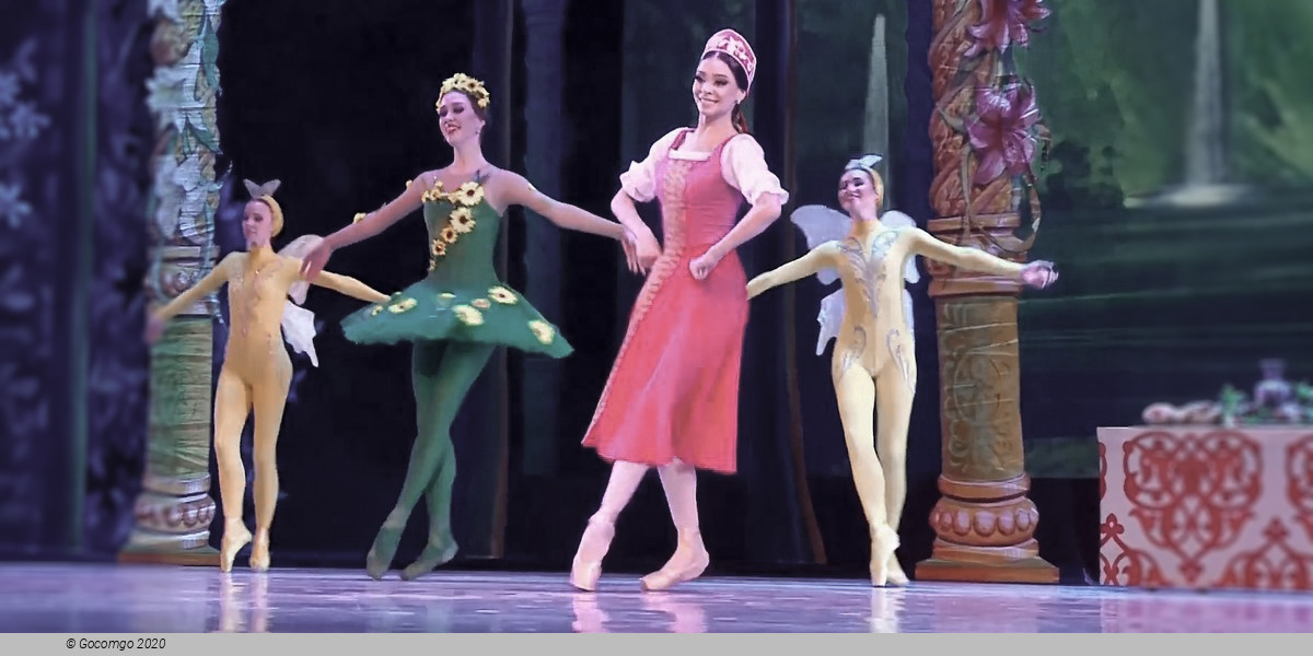 The Scarlet Flower, photo 4