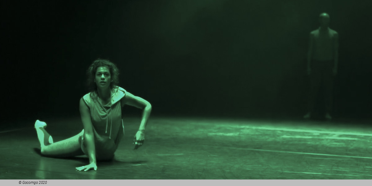 UA Stephanie Lake, photo 3