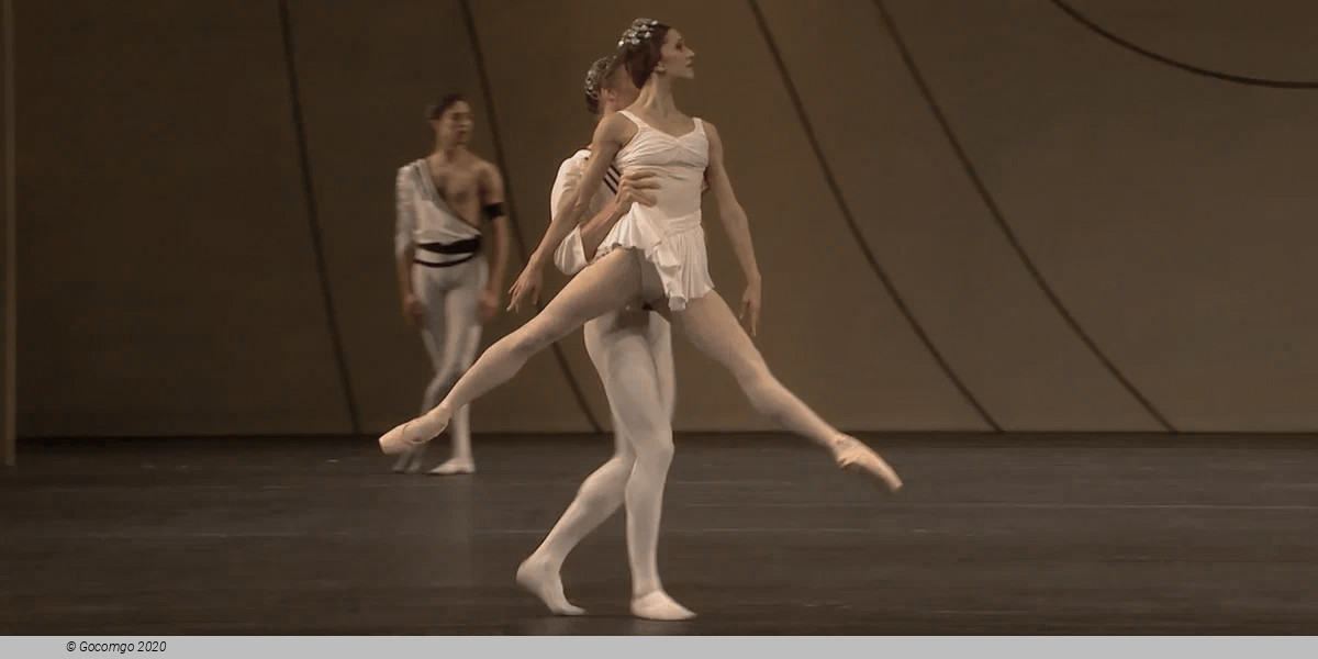 Symphonic Variations, photo 2