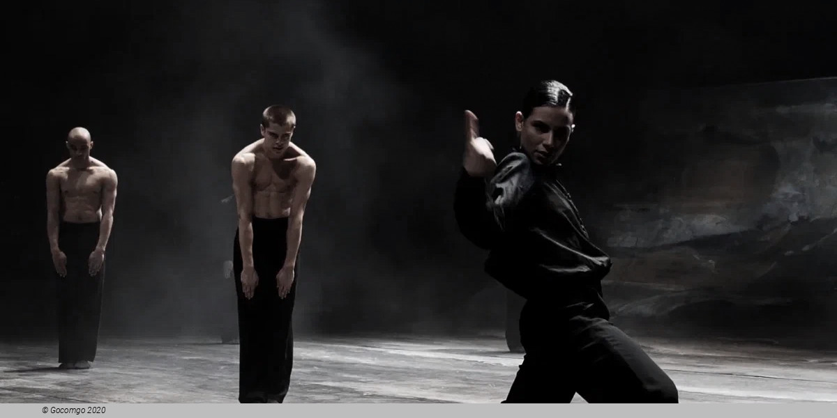 The Perfect Human, photo 3