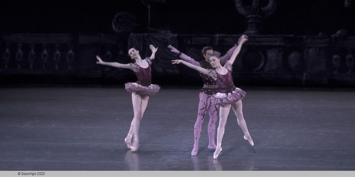 Symphonie Concertante, photo 2