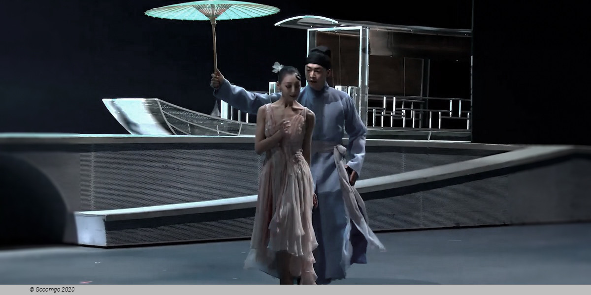 Pas de Deux from Lady White Snake, photo 14