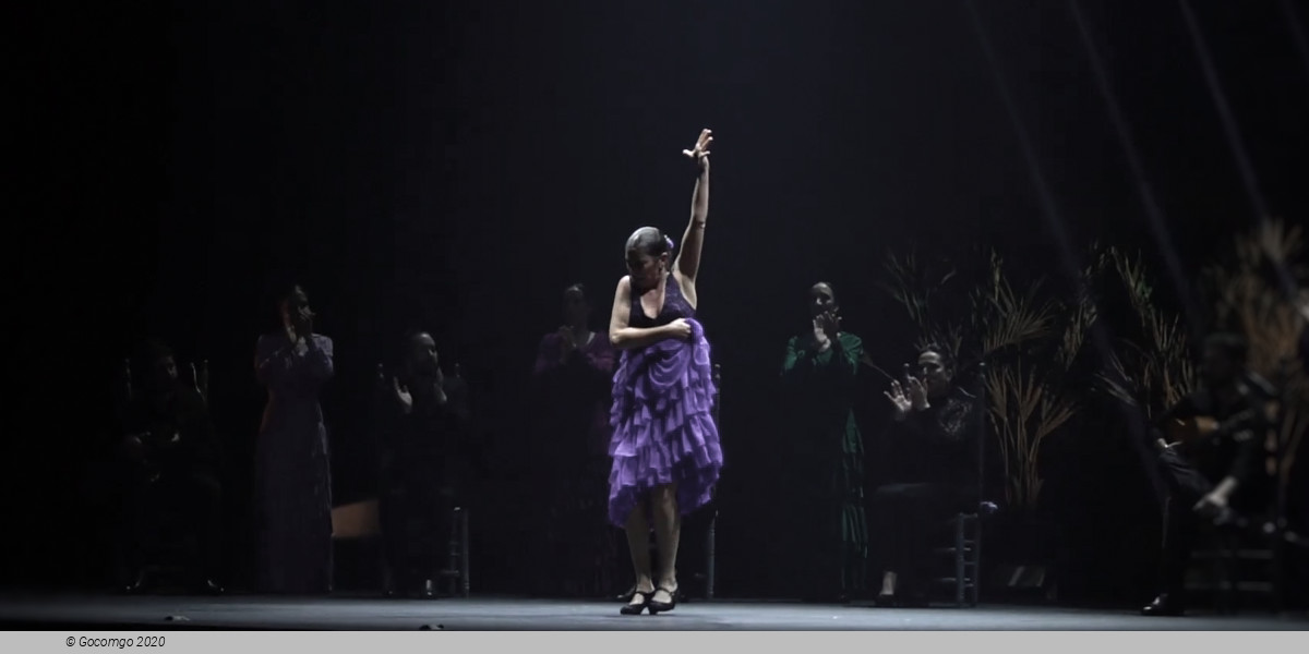 Sara Baras Flamenco Ballet Company Gala Vuela