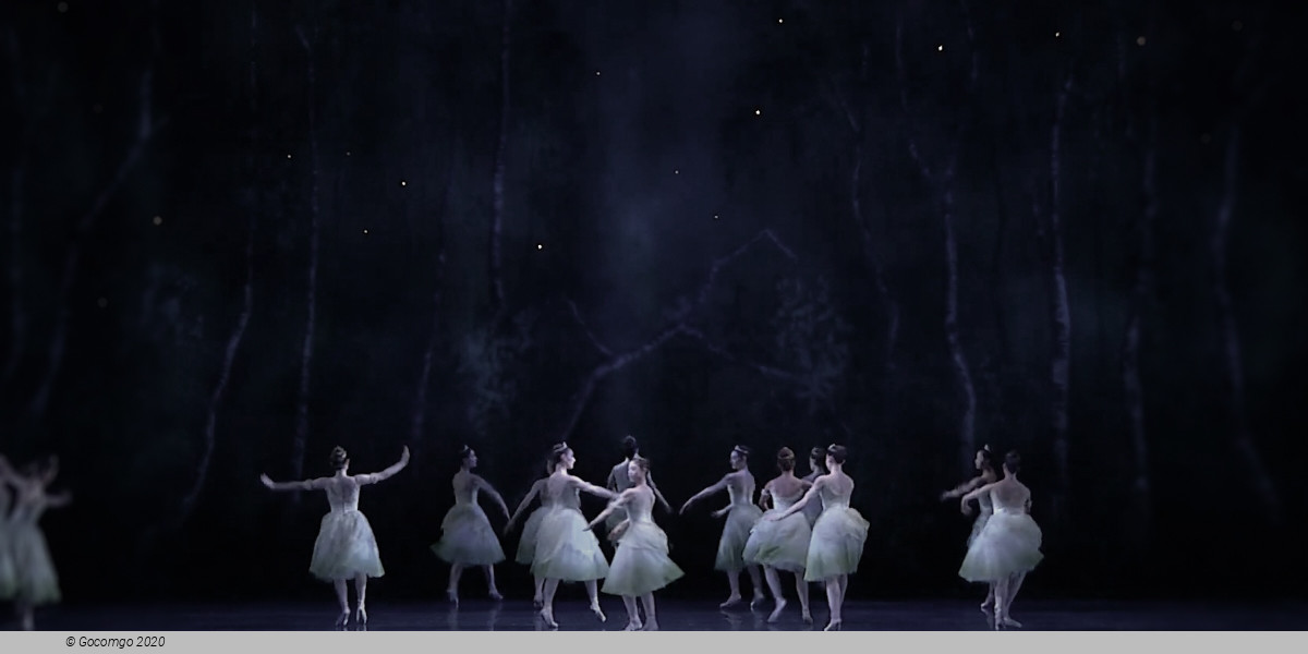 The Sleeping Beauty, photo 2