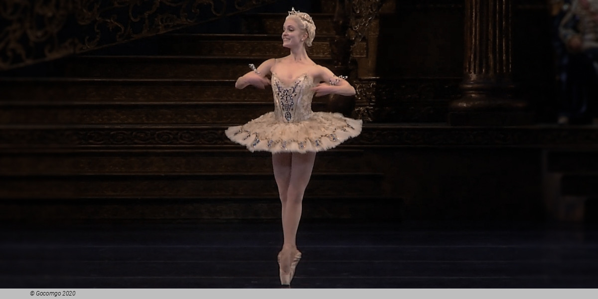 The Sleeping Beauty, photo 3