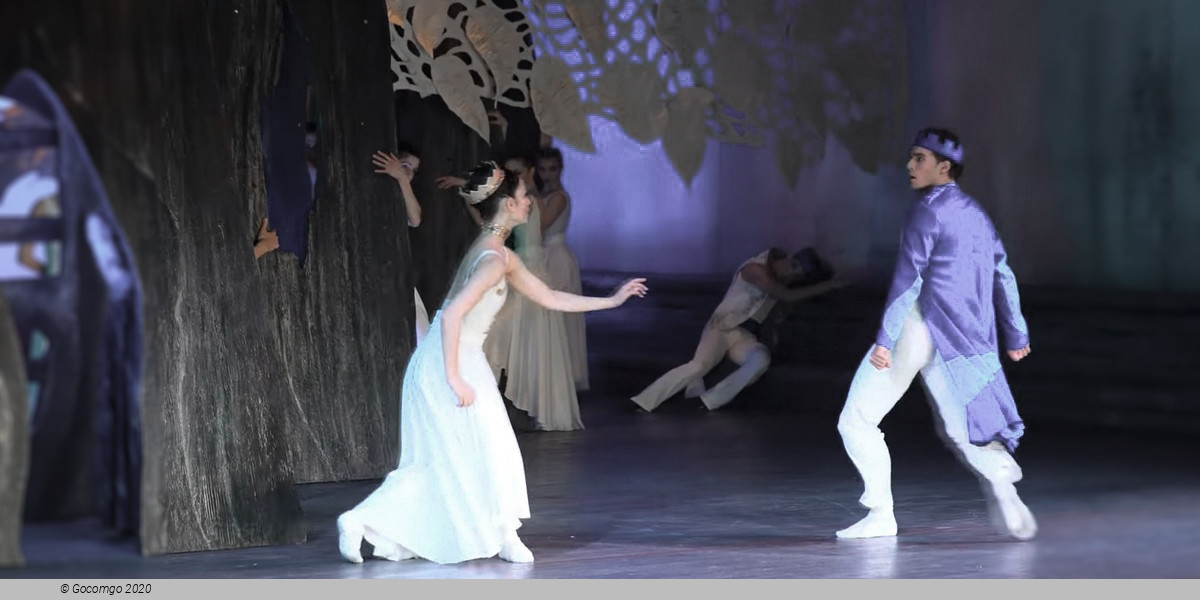 Scene 3 from the ballet "The Wooden Prince", photo 3