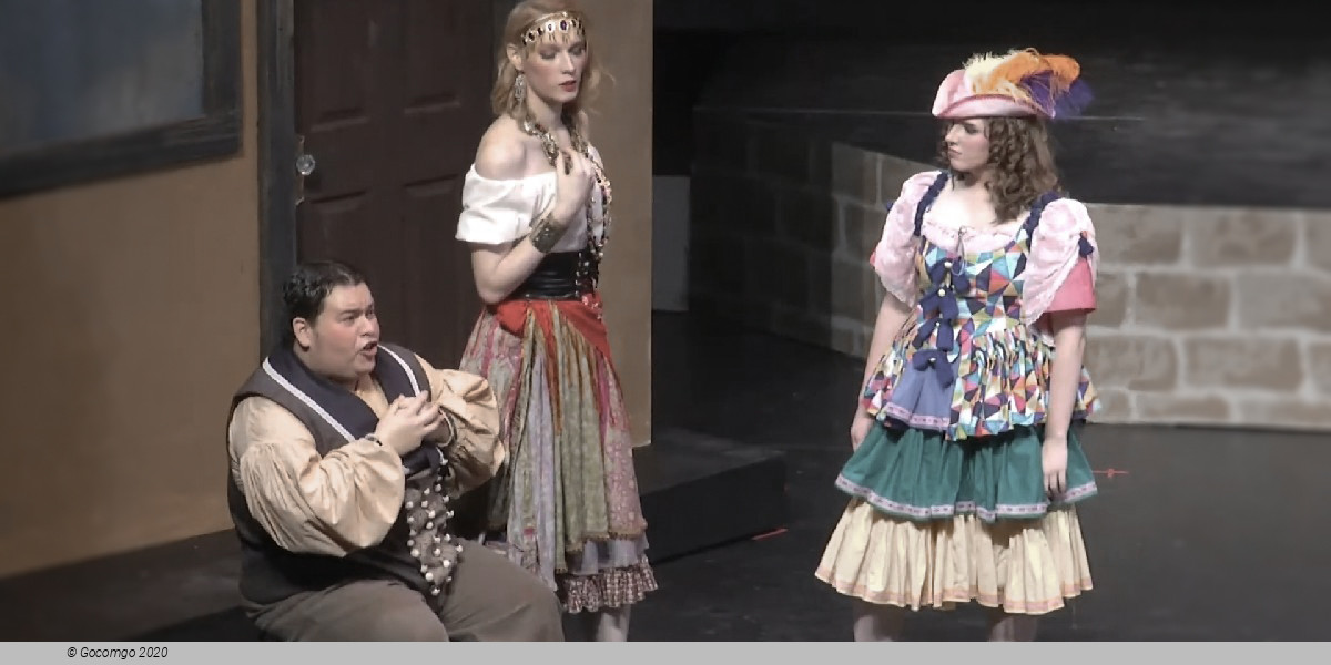 Scene 4 from the opera "The Bartered Bride", photo 5