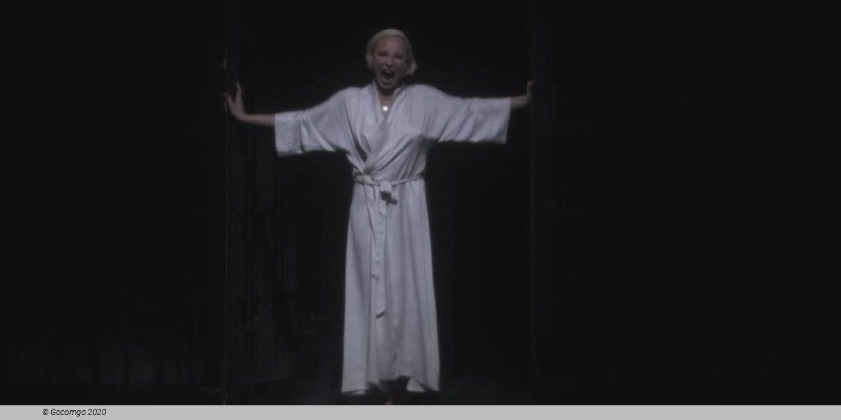 Scene 1 from the opera "Bluebeard's Castle", photo 5