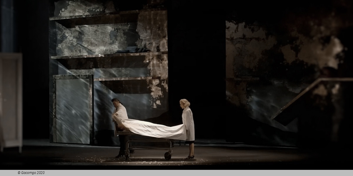 Figaro Gets a Divorce, photo 12