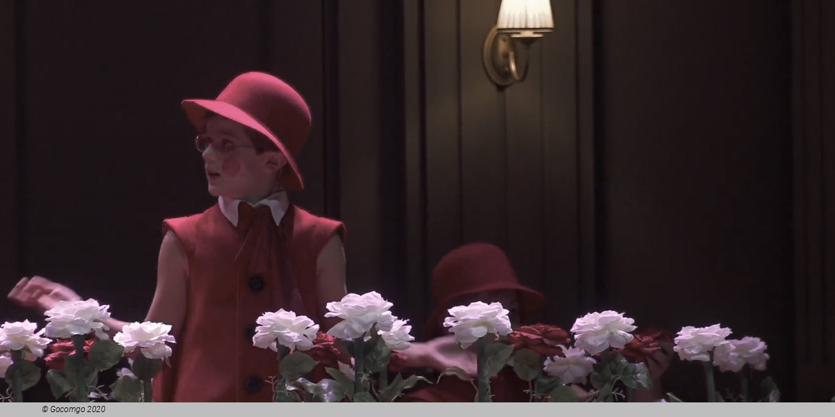 Alice in Wonderland(Children's Opera), photo 6