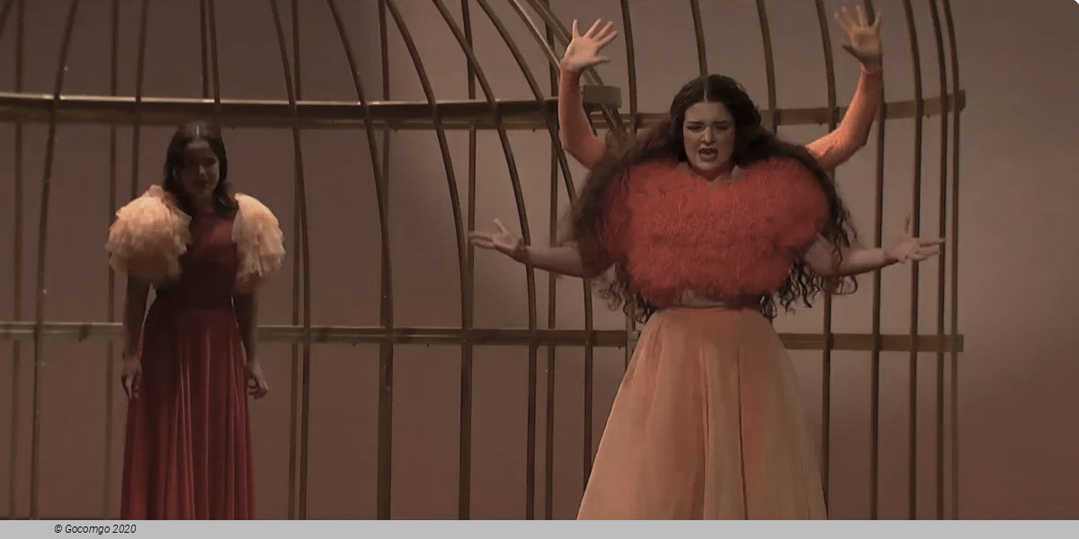 Bodas de sangre, photo 2