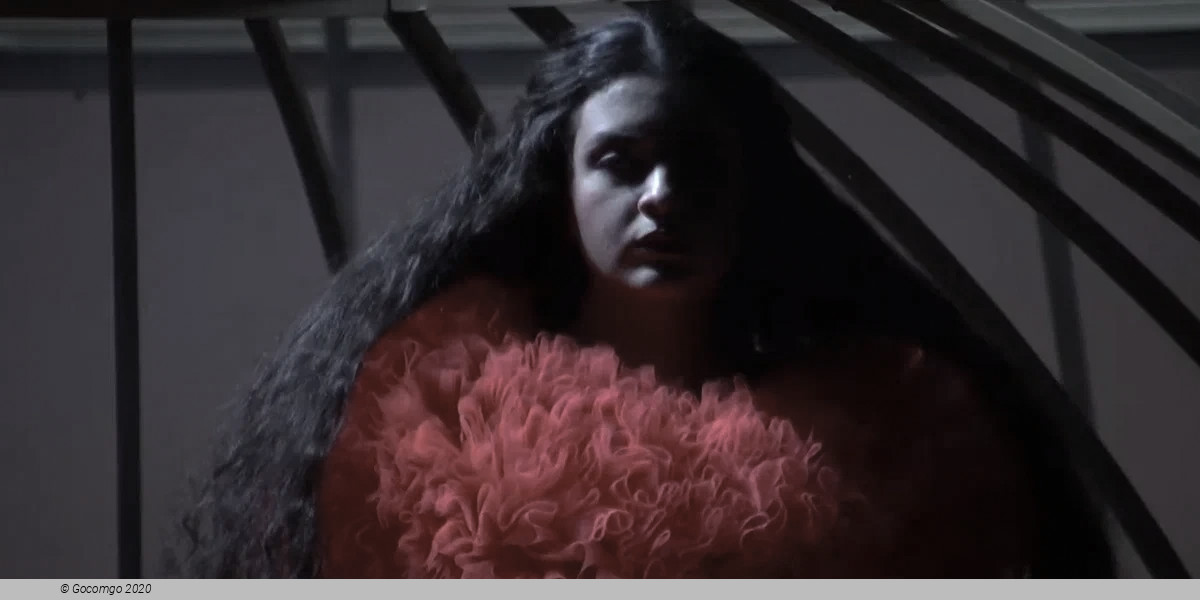 Bodas de sangre, photo 3