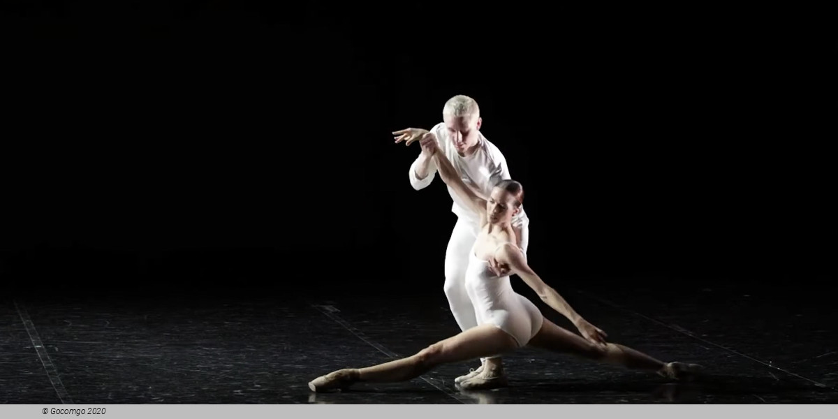 Metamorphosis, photo 3
