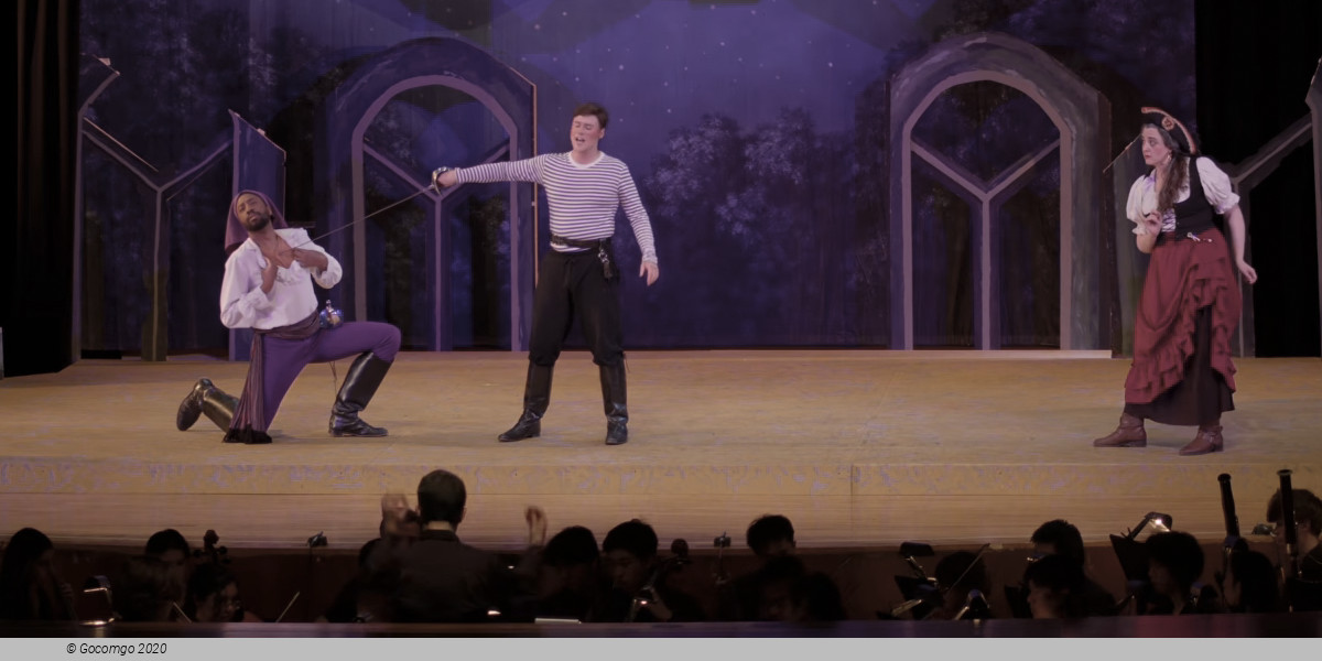 The Pirates of Penzance, photo 12