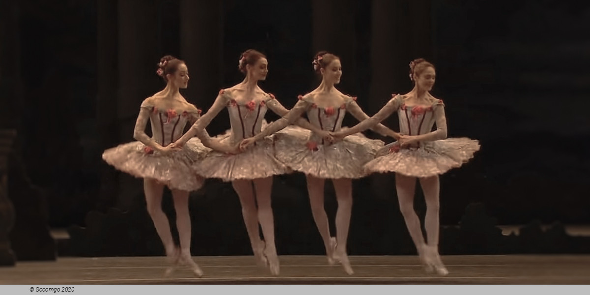 Scene 7 from the ballet "The Sleeping Beauty", photo 10