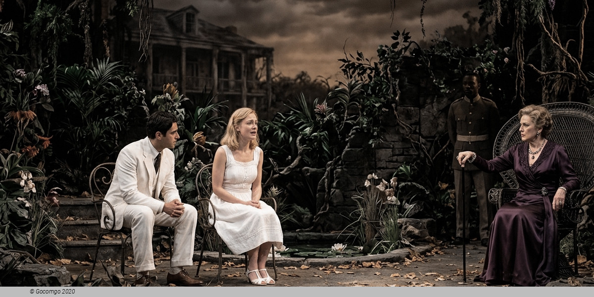 Suddenly Last Summer, photo 1