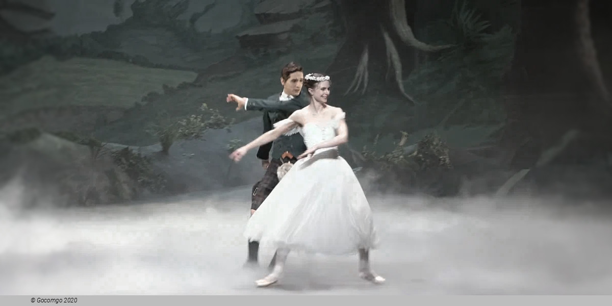 Romantic Evolution/s, photo 3