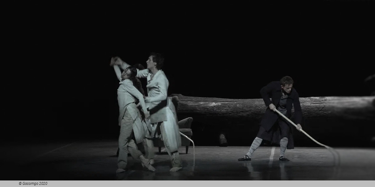 Romantic Evolution/s, photo 5