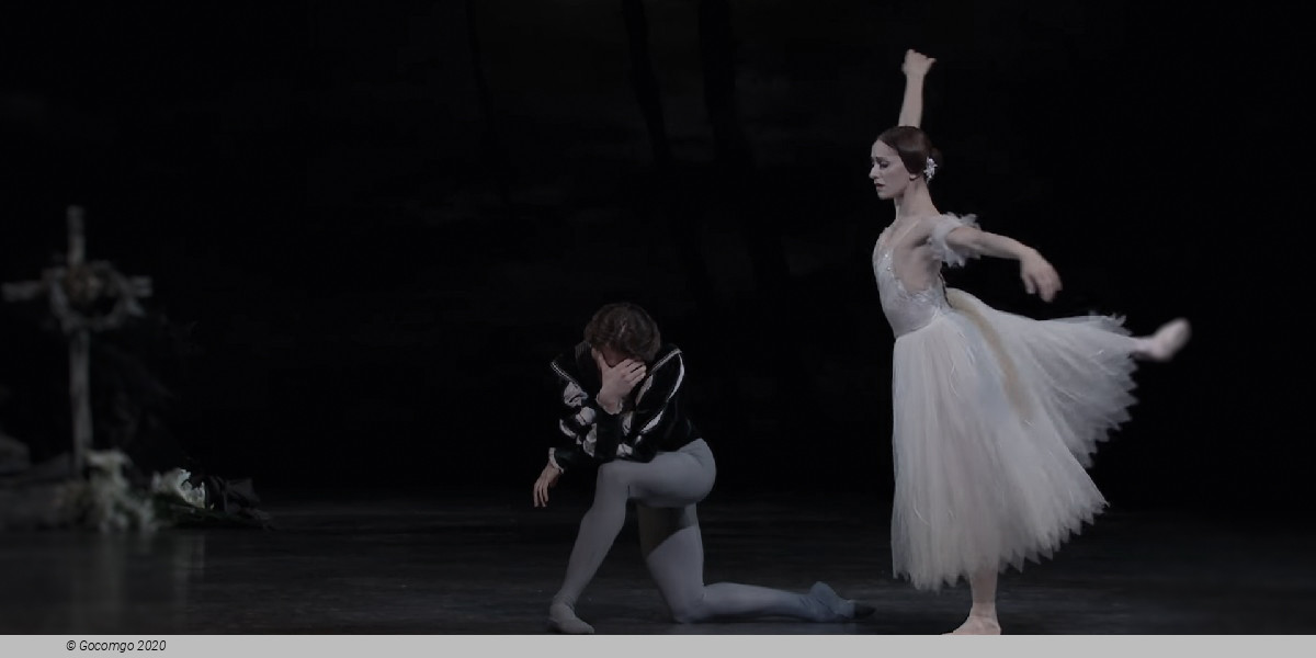 Giselle, photo 13
