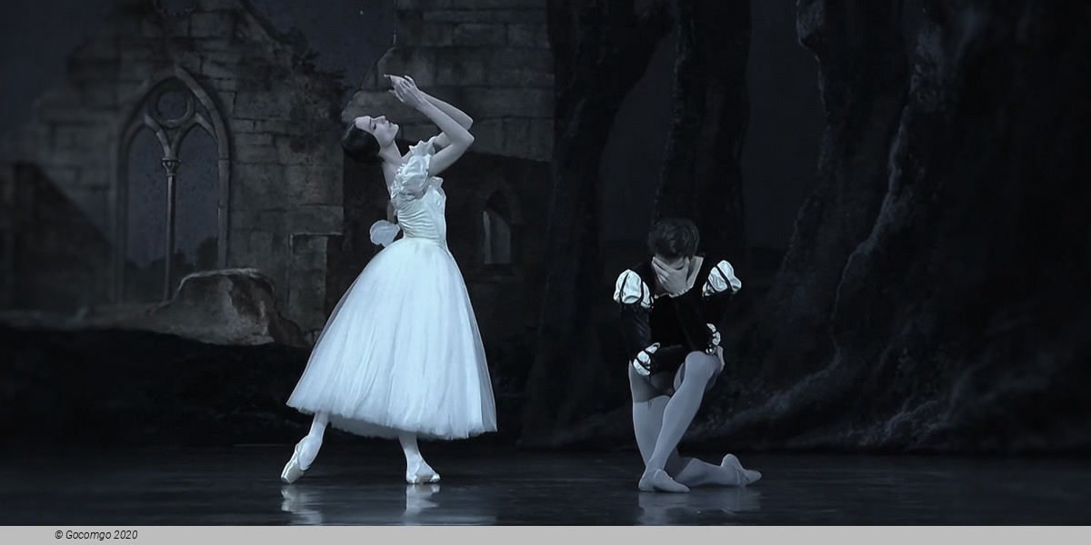 Giselle, photo 17